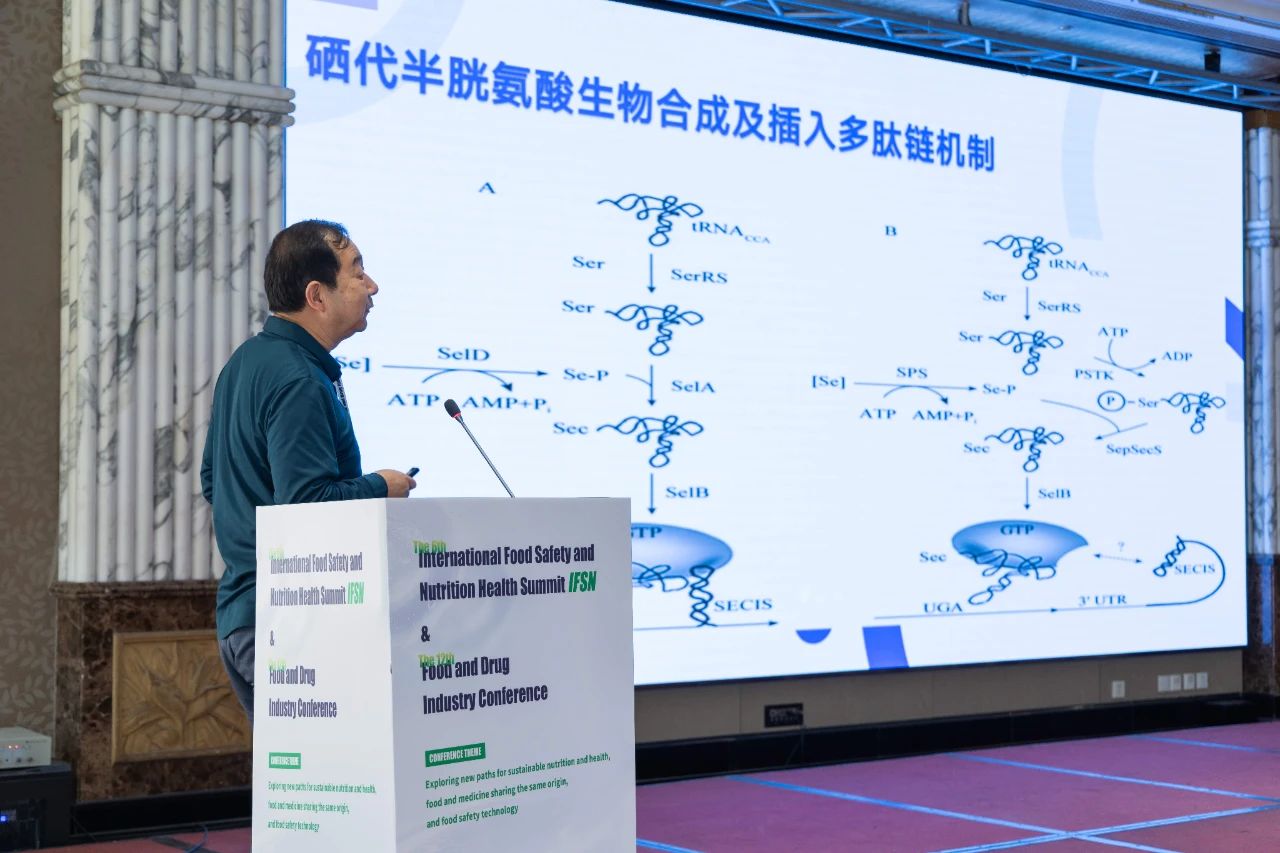 9999js��ɳ��Ʒ��(�й�)���޹�˾