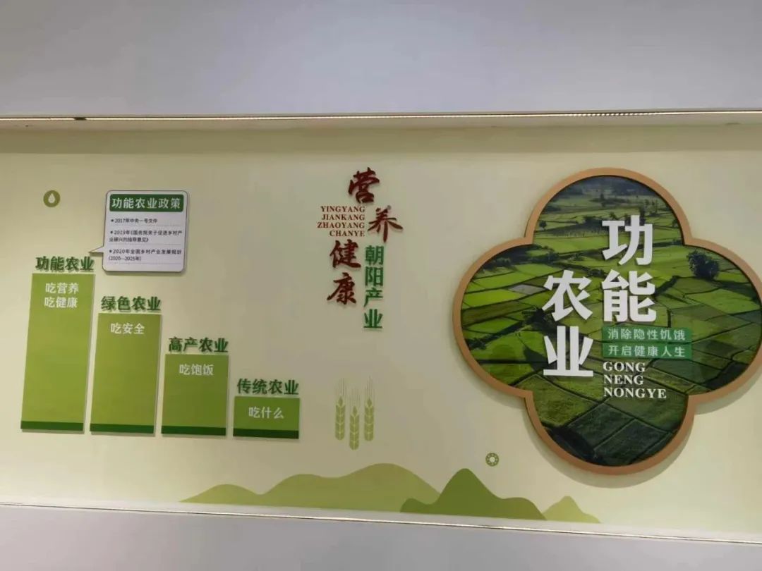 9999js��ɳ��Ʒ��(�й�)���޹�˾