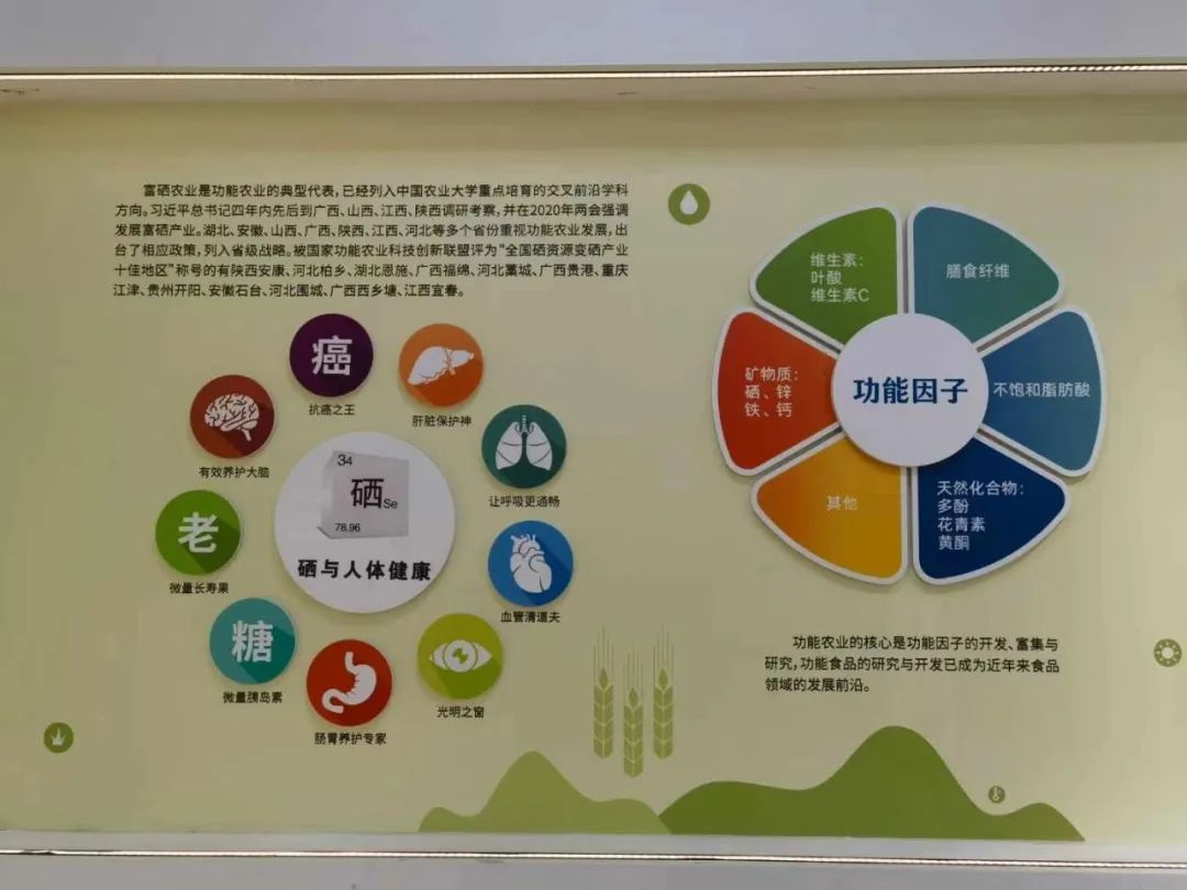 9999js��ɳ��Ʒ��(�й�)���޹�˾